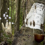 Art in Nature Photo by Scott Thompson